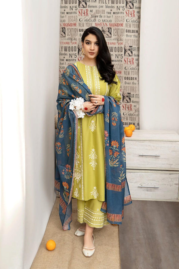 Embroided Lawn 3PC D#10